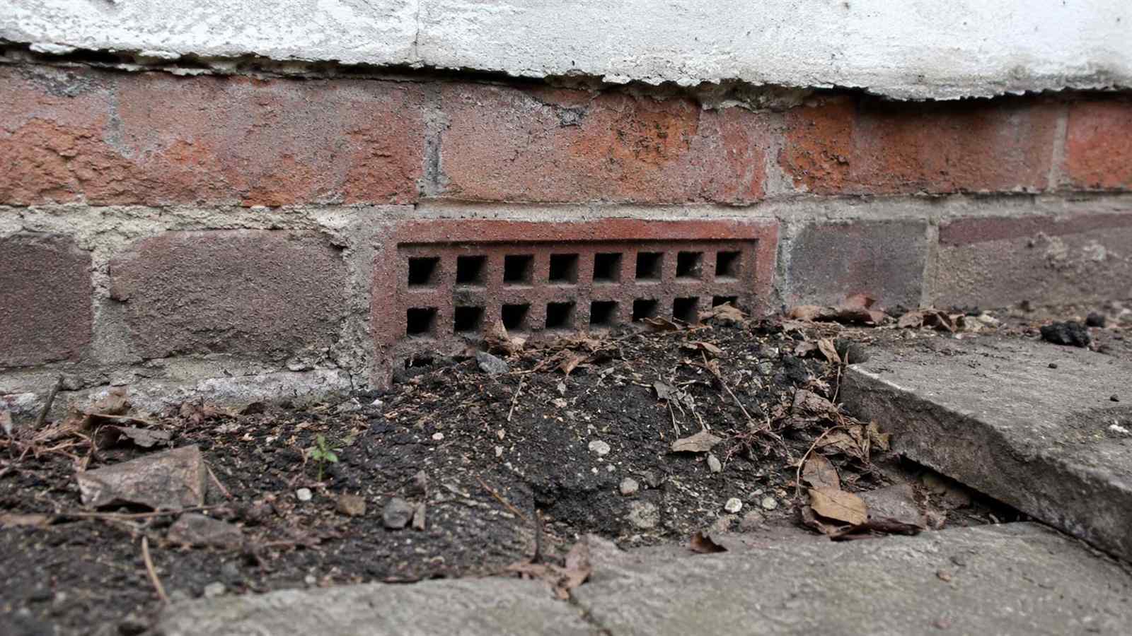 Blocked Air Bricks and Rotting Floors — illustrative timber damage or inspection photograph