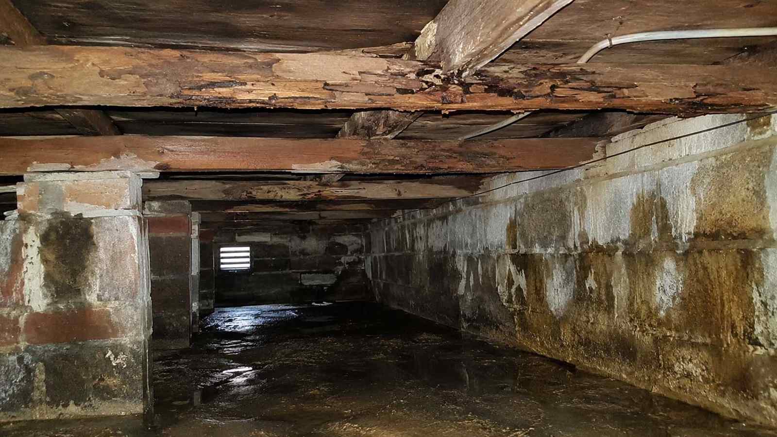 Rotting Timber in a Cellar or Basement — illustrative timber damage or inspection photograph