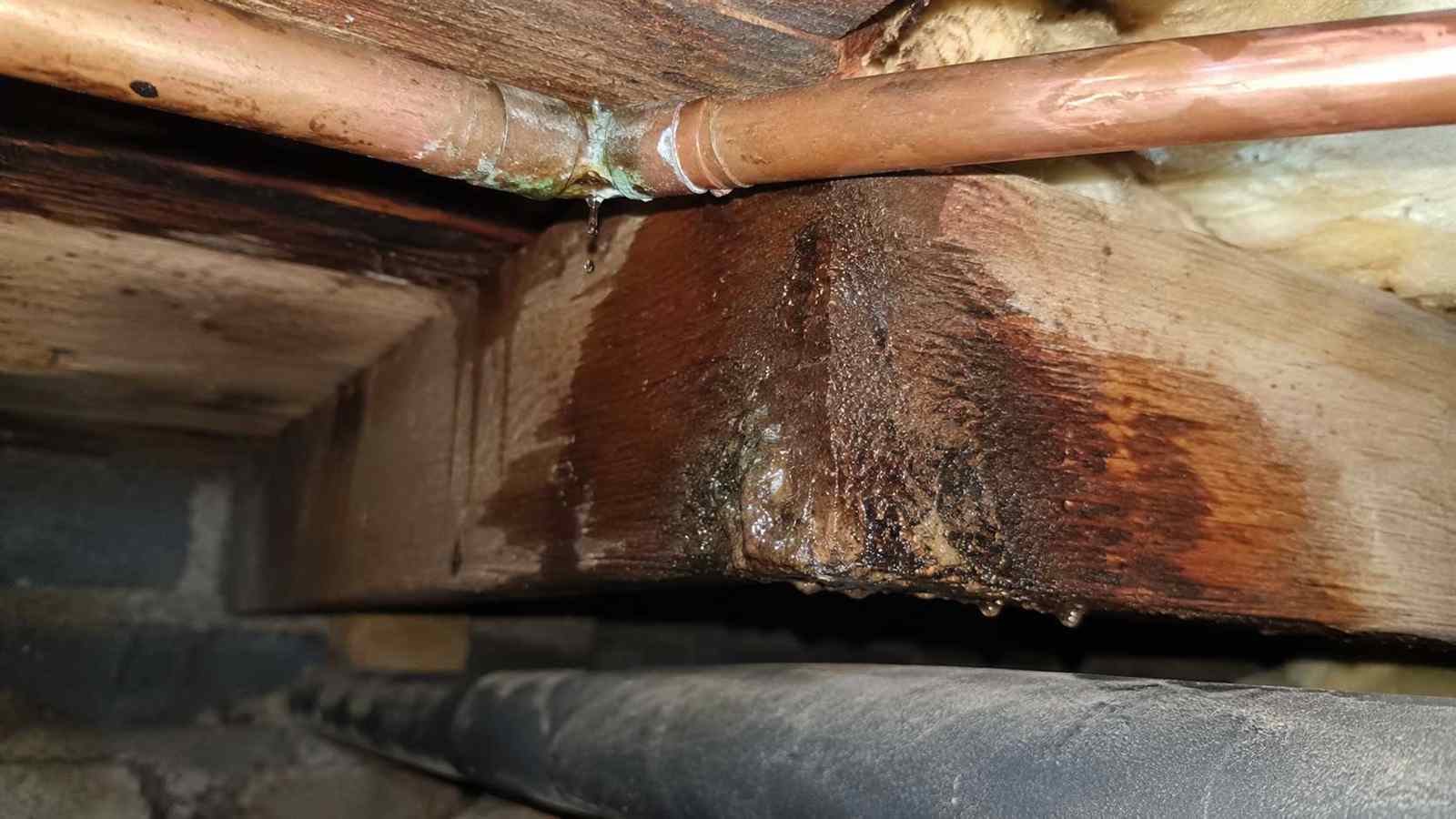 Rainwater defect capable of wetting building timber