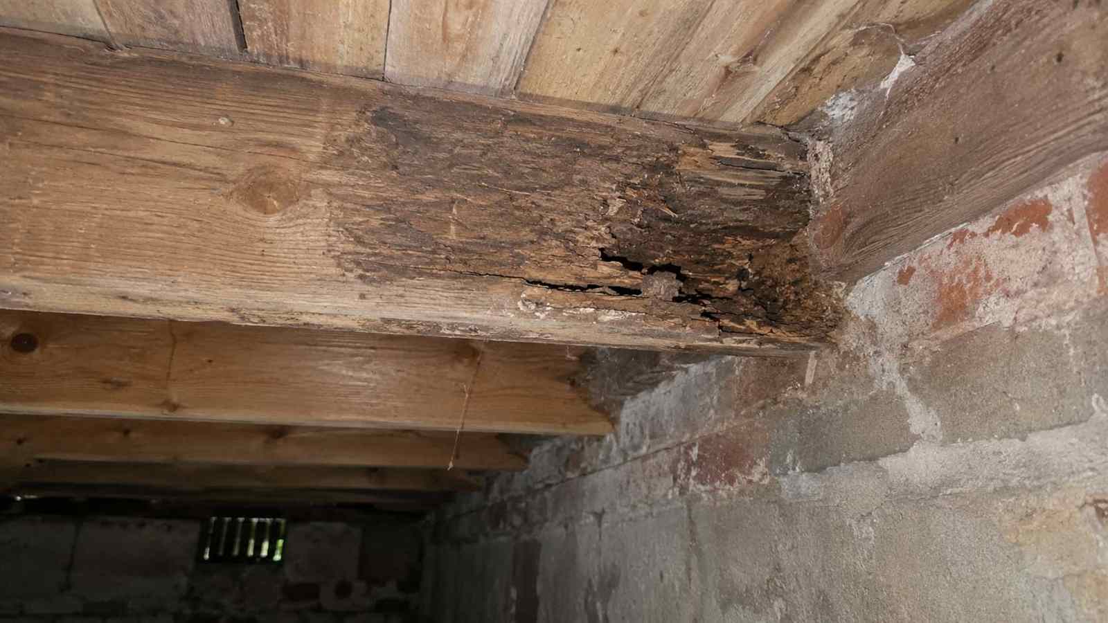 Why Is My Wooden Floor Bouncing? — illustrative timber damage or inspection photograph