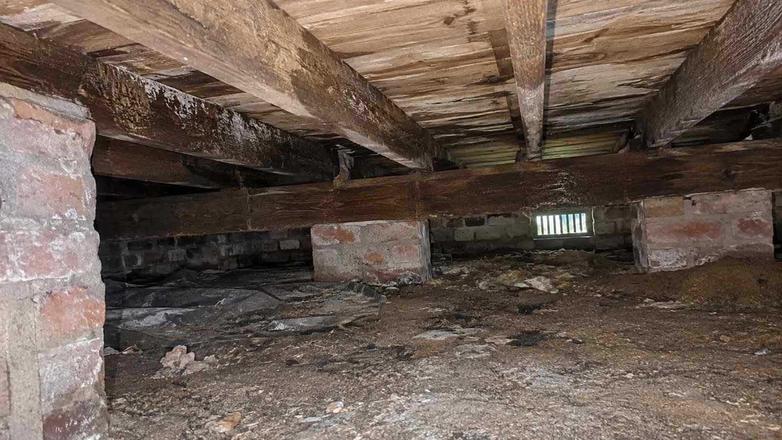 Timber Decay After a Flood — illustrative timber damage or inspection photograph